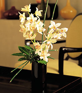  Adana iekiler  cam yada mika vazo ierisinde dal orkide
