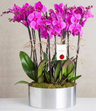 11 dall mor orkide metal vazoda  Adana iek gnderme sitemiz gvenlidir 