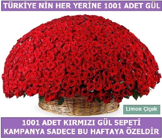 1001 Adet kırmızı gül Bu haftaya özel  Adana İnternetten çiçek siparişi 