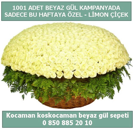 1001 adet beyaz gül sepeti özel kampanyada  Adana çiçek gönderme sitemiz güvenlidir 