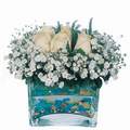 mika ve beyaz gül renkli taslar   Adana çiçek satışı 
