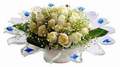 cam günes ve dolunay bembeyaz  Adana çiçek , çiçekçi , çiçekçilik 