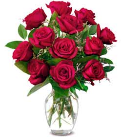  Adana online çiçek gönderme sipariş  1 düzine kirmizi gül sevenlere özel vazo gülleri