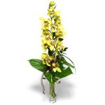 Adana İnternetten çiçek siparişi  cam vazo içerisinde tek dal canli orkide