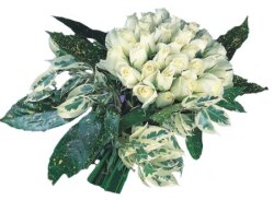  Adana internetten çiçek siparişi  9 Beyaz gül Özel kisiler için