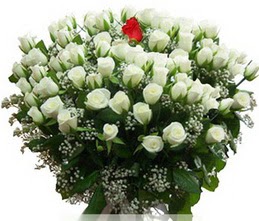  Adana internetten çiçek satışı  100 adet beyaz 1 adet kirmizi gül buketi