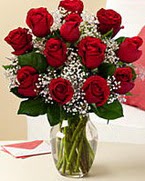 Sevgilime hediye 9 adet 1.ci kalite gül  Adana anneler günü çiçek yolla 