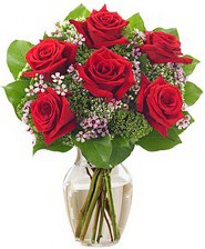 Kız arkadaşıma hediye 6 kırmızı gül  Adana internetten çiçek siparişi 