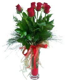 vazo içerisinde 5 kırmızı gül  Adana güvenli kaliteli hızlı çiçek 