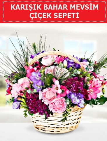Karışık mevsim bahar çiçekleri  Adana ucuz çiçek gönder 